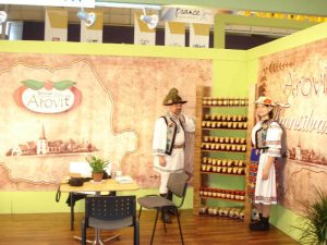 Targuri si expozitii